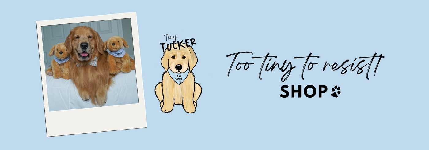 Dog Named TUCKER Golden Retriever Mom Cute Dog Rescuer Gift PopSockets Grip  and Stand for Phones and Tablets